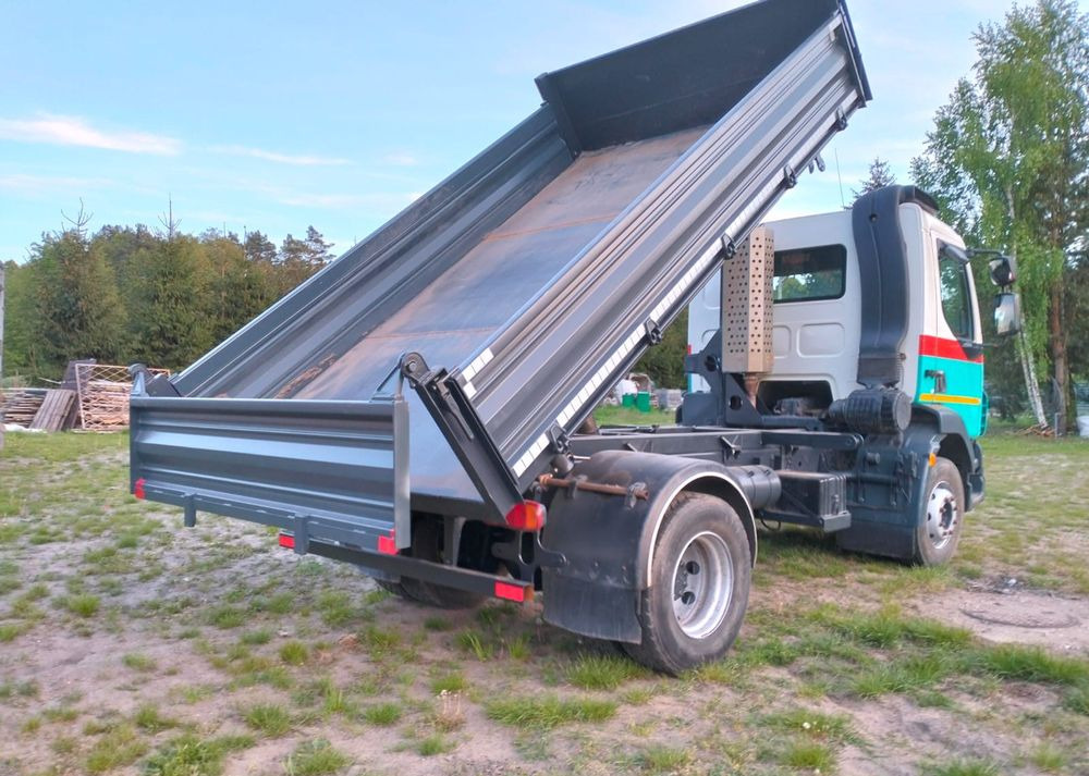 Tipper DAF LF 55.220: picture 6