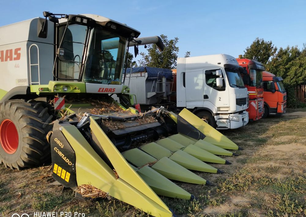 Oros Cornado 6 4+2R Nowa Przystawka do kukurydzy - Maize harvester: picture 3 Oros Cornado 6 4+2R Nowa Przystawka do kukurydzy - Maize harvester: picture 3