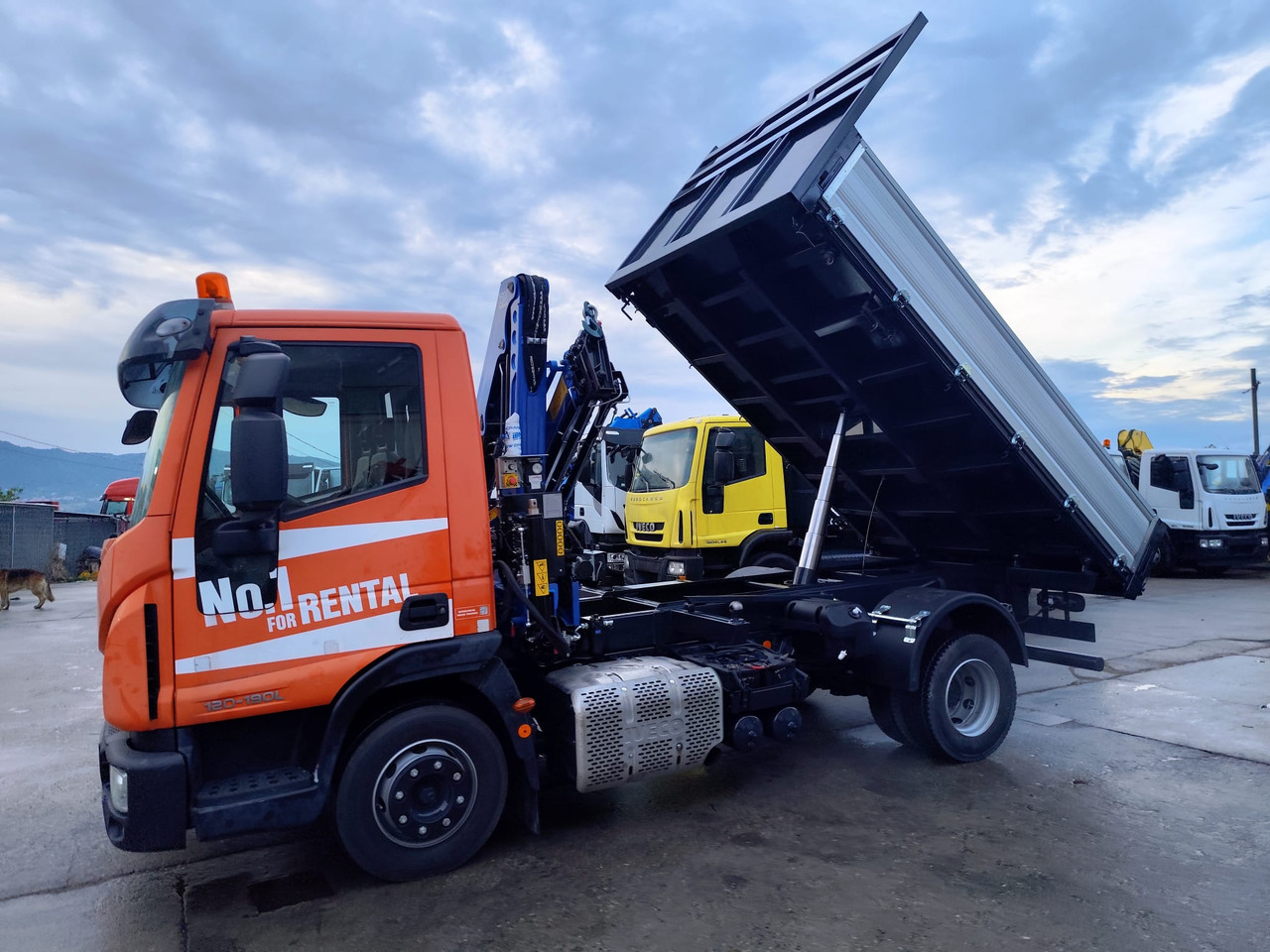 Crane truck IVECO EUROCARGO 120-90L: picture 11