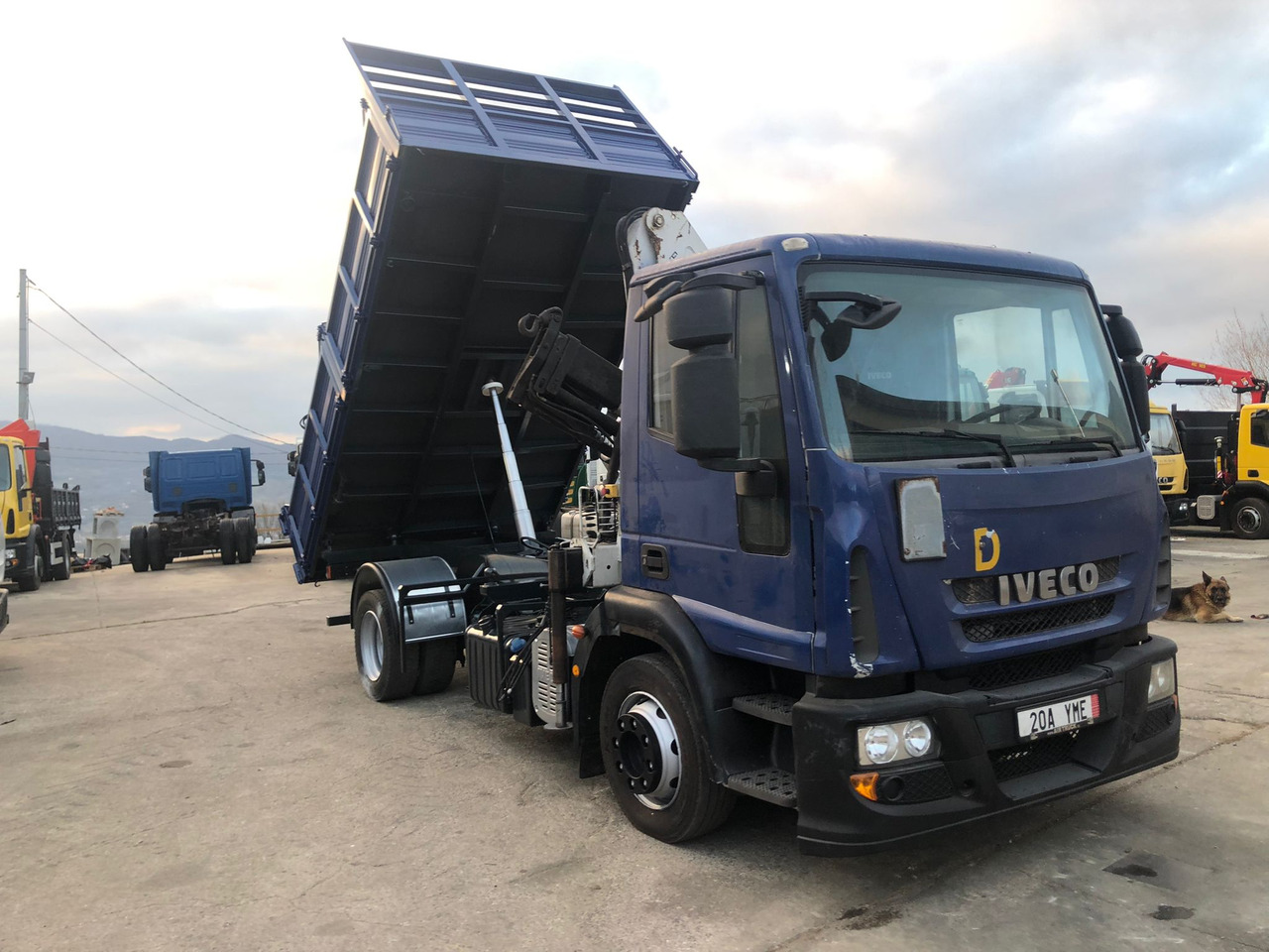 Crane truck IVECO EUROCARGO 120E25: picture 38