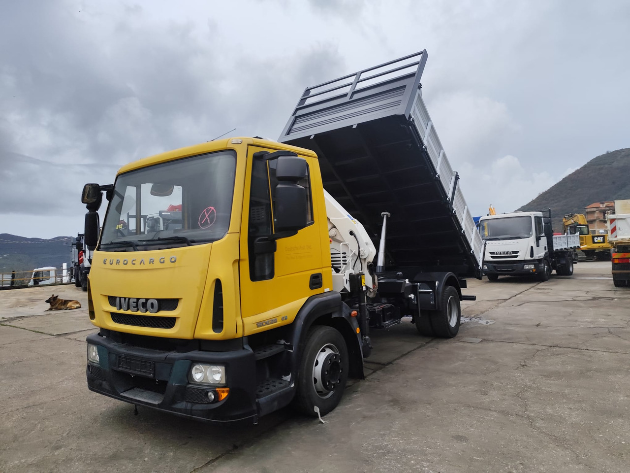 Crane truck IVECO EUROCARGO 120E28P: picture 21