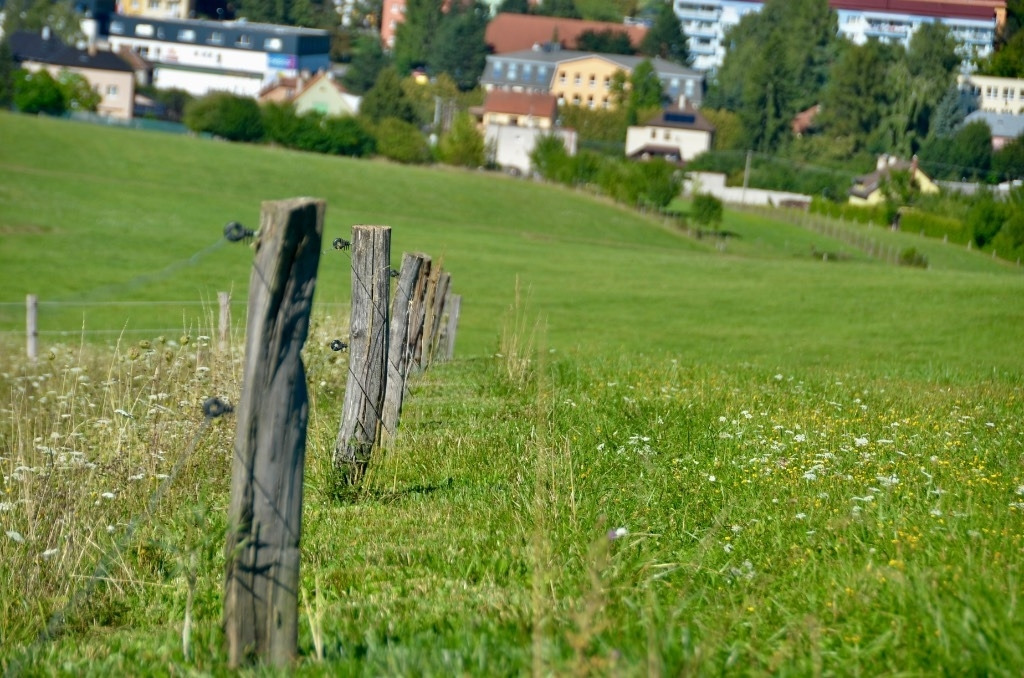 Zaunmäher TriCut A1250 Leitplankenmäher Pfahlmäher - Mower: picture 4 Zaunmäher TriCut A1250 Leitplankenmäher Pfahlmäher - Mower: picture 4