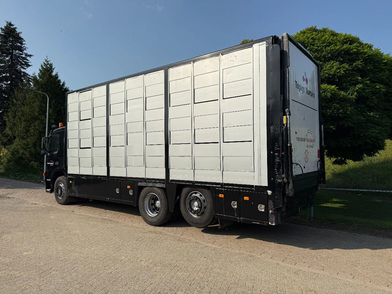 Volvo FM 300 Livestock Cuppers 3 laags 6x2 - Livestock truck: picture 5 Volvo FM 300 Livestock Cuppers 3 laags 6x2 - Livestock truck: picture 5