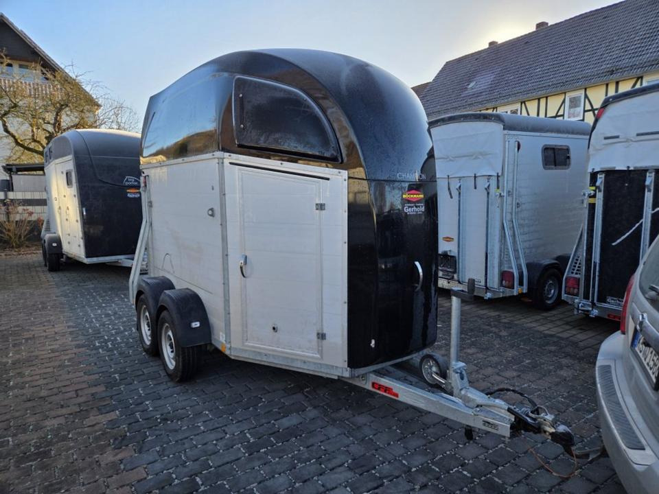 Böckmann, Pferdeanhänger, Champion R, top, SaKa. 100 km/h - Horse trailer: picture 5 Böckmann, Pferdeanhänger, Champion R, top, SaKa. 100 km/h - Horse trailer: picture 5