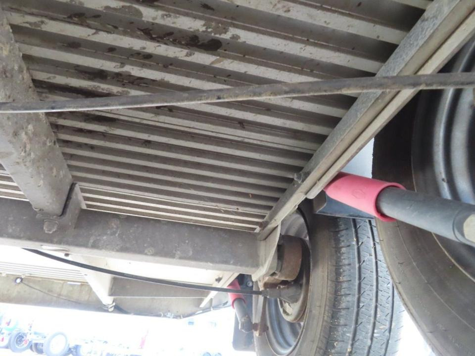 Horse trailer Böckmann Pferdeanhänger, Comfort, Alub. Sattelk. 100 km/h, top: picture 14