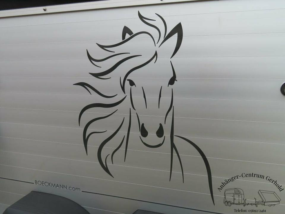 Pferdeanhänger Böckmann Champion R Saka 100km/h Dekor Alufelgen - Horse trailer: picture 4 Pferdeanhänger Böckmann Champion R Saka 100km/h Dekor Alufelgen - Horse trailer: picture 4