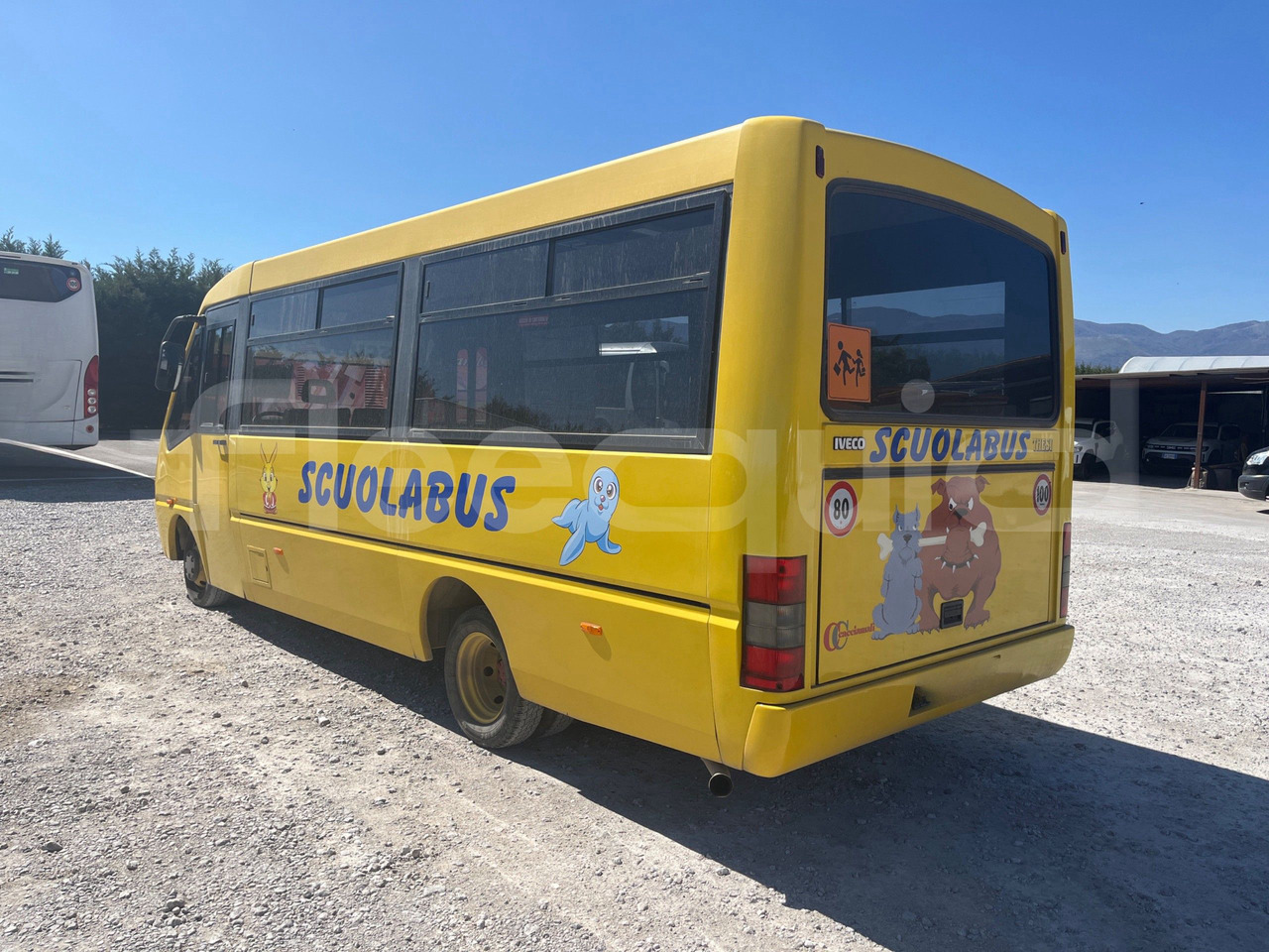 School bus Bundle di 4 mezzi Iveco - Cacciamali Iveco - Cacciamali Iveco - Cacciamali Iveco - A50: picture 7 School bus Bundle di 4 mezzi Iveco - Cacciamali Iveco - Cacciamali Iveco - Cacciamali Iveco - A50: picture 7