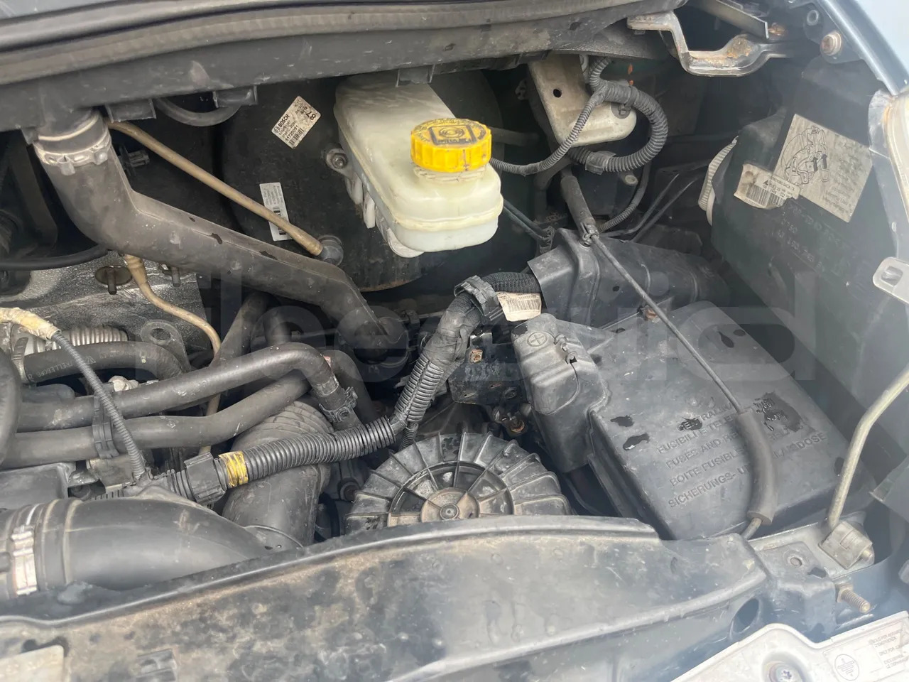 Minibus, Passenger van Fiat Ducato: picture 18