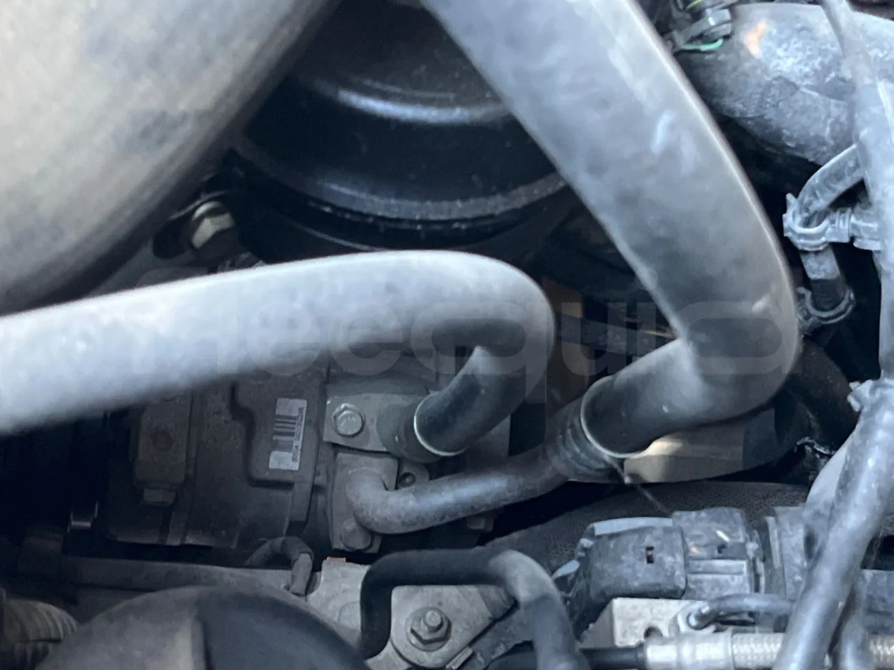 School bus Iveco Daily: picture 16 School bus Iveco Daily: picture 16