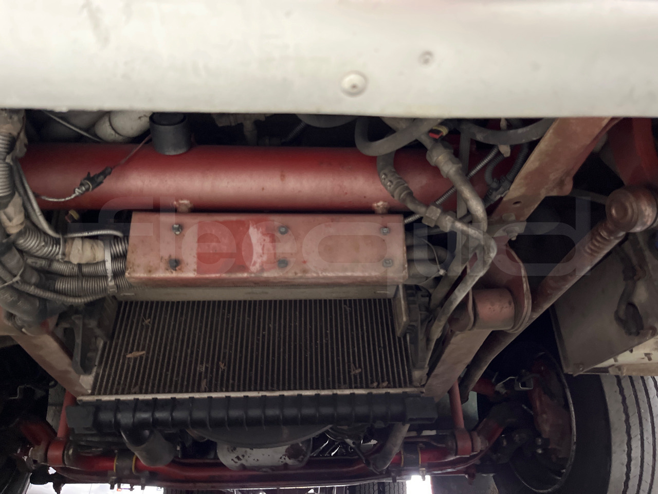 Coach Iveco Eurocargo: picture 18 Coach Iveco Eurocargo: picture 18