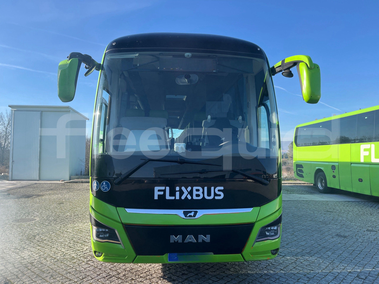 Man Lion's Coach - Coach: picture 2 Man Lion's Coach - Coach: picture 2