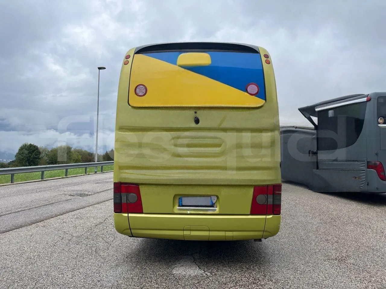 Man Lion's Coach - Coach: picture 5 Man Lion's Coach - Coach: picture 5