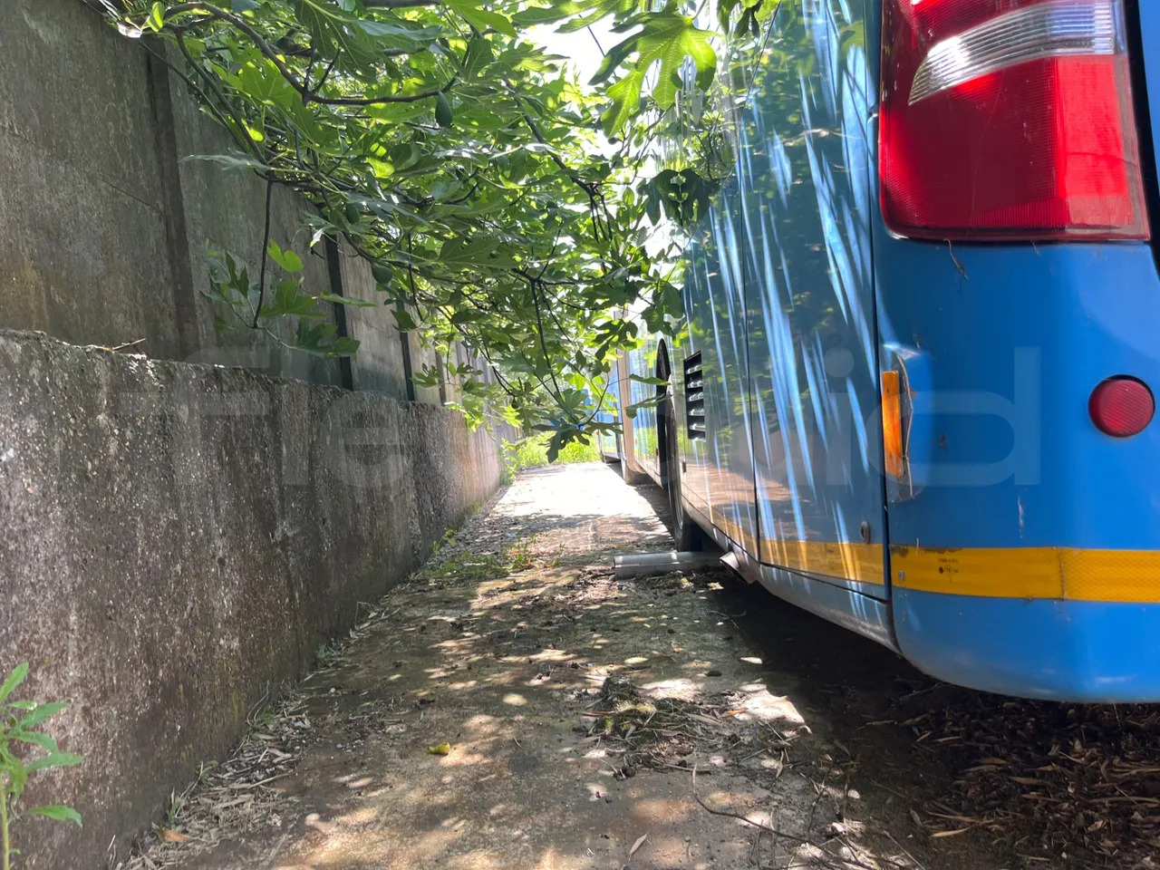 Mercedes-Benz Citaro G - Articulated bus: picture 4 Mercedes-Benz Citaro G - Articulated bus: picture 4