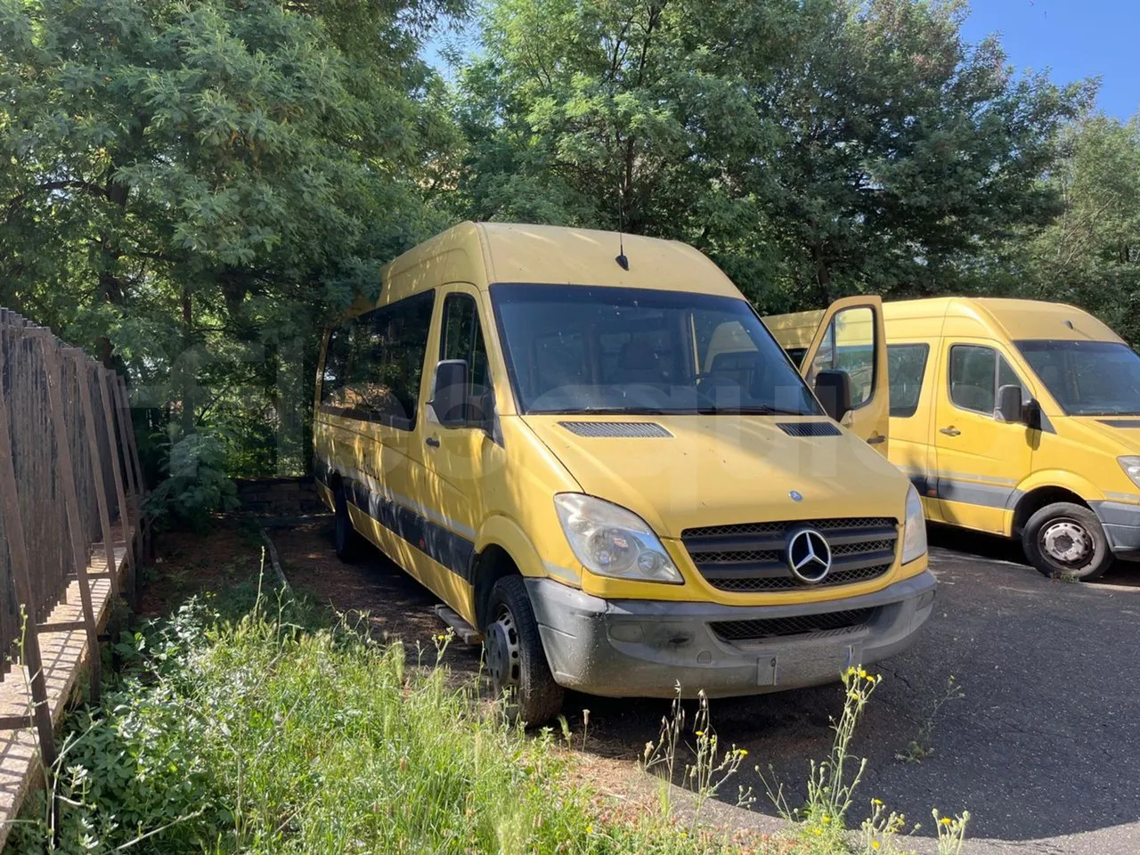 Mercedes-Benz Sprinter - School bus: picture 1 Mercedes-Benz Sprinter - School bus: picture 1