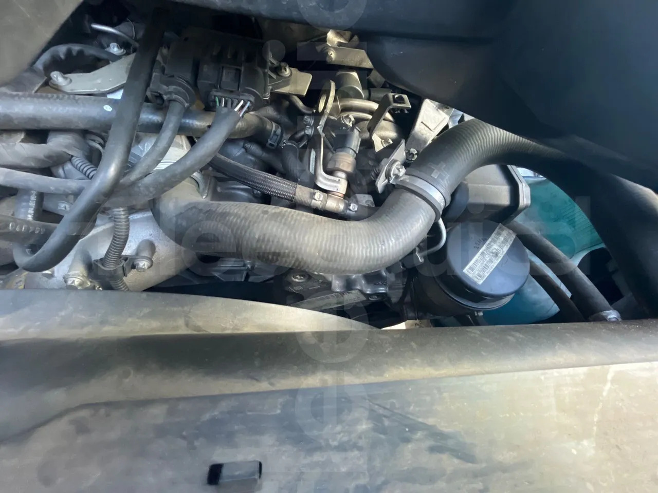 Leasing of  Mercedes-Benz Sprinter Mercedes-Benz Sprinter: picture 17