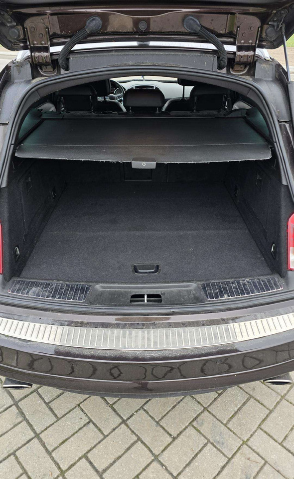 Station wagon Opel Insignia: picture 15