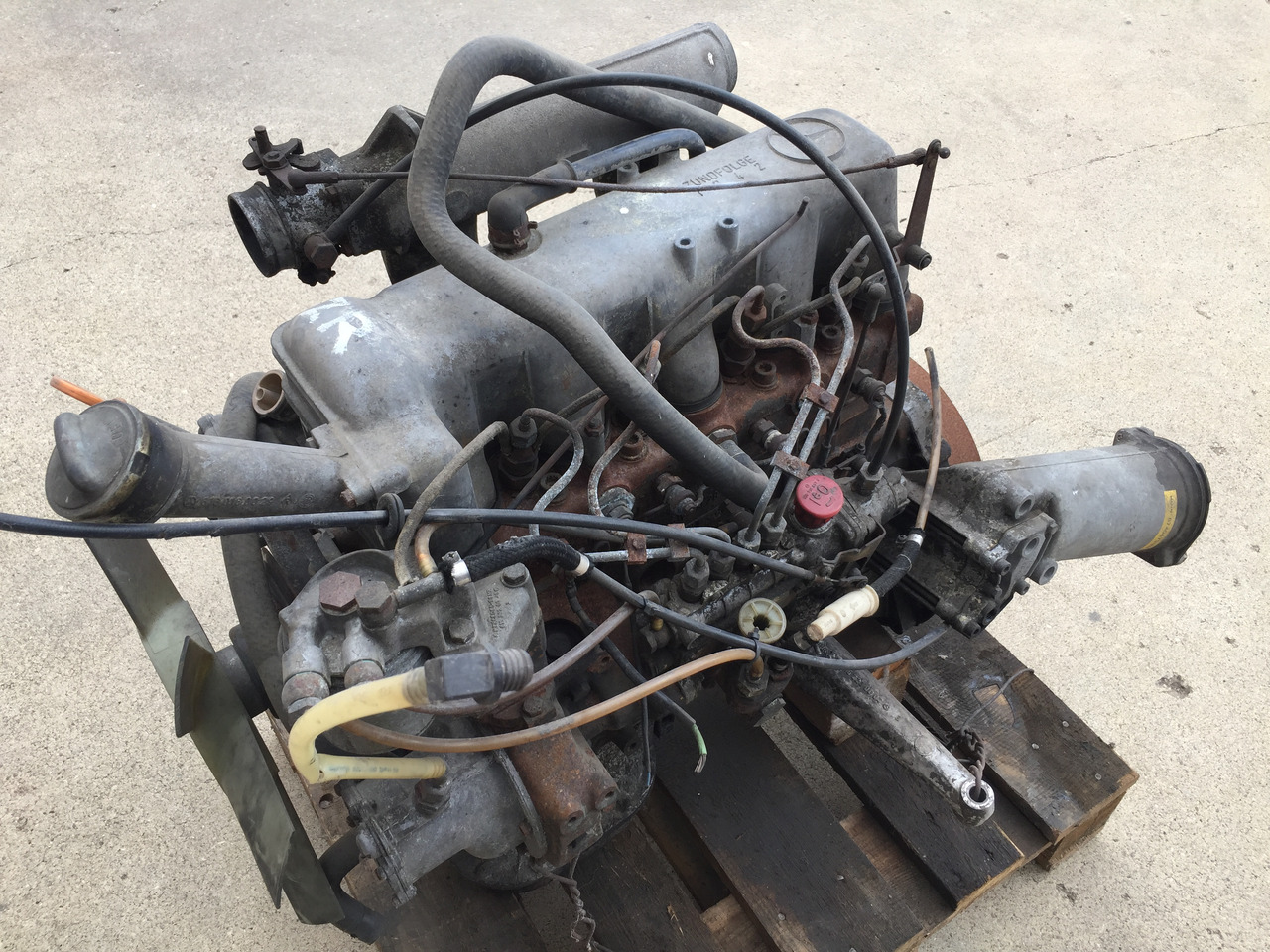 Gebrauchter Motor MB 207 D, Motor Typ OM 601, Artikel - Nr. : A 9999 9999 99 - Engine for Truck: picture 1 Gebrauchter Motor MB 207 D, Motor Typ OM 601, Artikel - Nr. : A 9999 9999 99 - Engine for Truck: picture 1