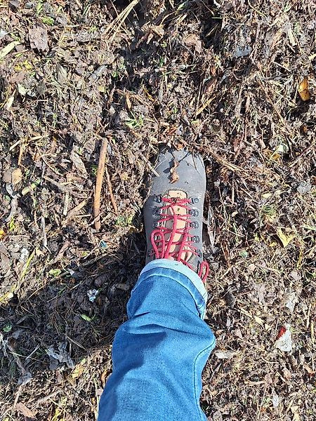 Alzinger Maschinenbau Lepton 5100 przesiewacz gwiazdowy do bioodpadów, kompostu oraz torfu - Industrial waste shredder: picture 5 Alzinger Maschinenbau Lepton 5100 przesiewacz gwiazdowy do bioodpadów, kompostu oraz torfu - Industrial waste shredder: picture 5