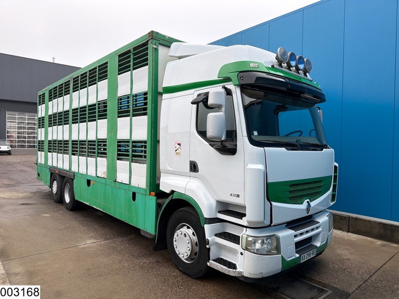 Renault Premium 430 Dxi 6x2, EURO 5, PTO, livestock trailer with 3 decks - Livestock truck: picture 3 Renault Premium 430 Dxi 6x2, EURO 5, PTO, livestock trailer with 3 decks - Livestock truck: picture 3