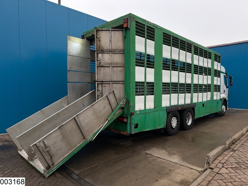 Renault Premium 430 Dxi 6x2, EURO 5, PTO, livestock trailer with 3 decks - Livestock truck: picture 4 Renault Premium 430 Dxi 6x2, EURO 5, PTO, livestock trailer with 3 decks - Livestock truck: picture 4