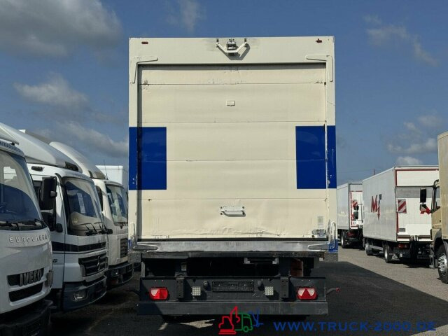 Schmitz Cargobull Schmitz Thermo King SLX Spectrum Tiefkühler -20° - Refrigerator semi-trailer: picture 3 Schmitz Cargobull Schmitz Thermo King SLX Spectrum Tiefkühler -20° - Refrigerator semi-trailer: picture 3