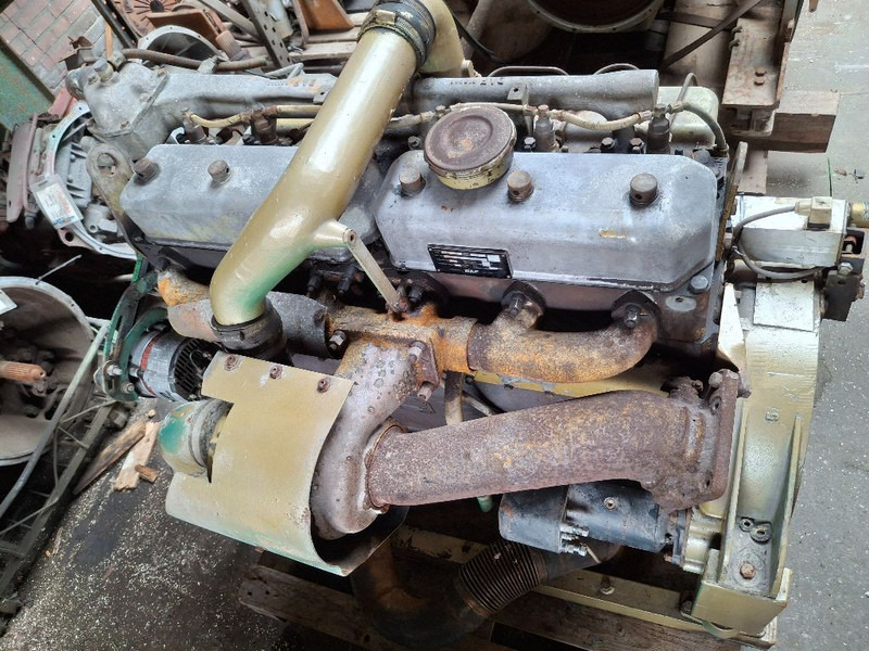 DAF 825 TURBO (DHU825) - Engine: picture 4 DAF 825 TURBO (DHU825) - Engine: picture 4