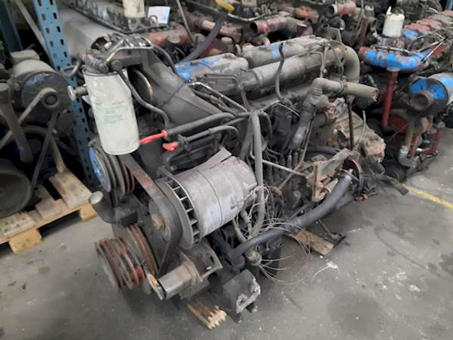 DAF WS242L - Engine for Bus: picture 1 DAF WS242L - Engine for Bus: picture 1