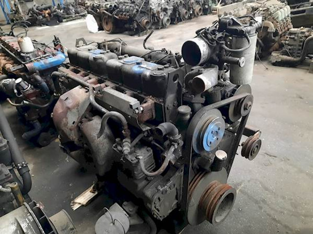 DAF WS242L - Engine for Bus: picture 3 DAF WS242L - Engine for Bus: picture 3