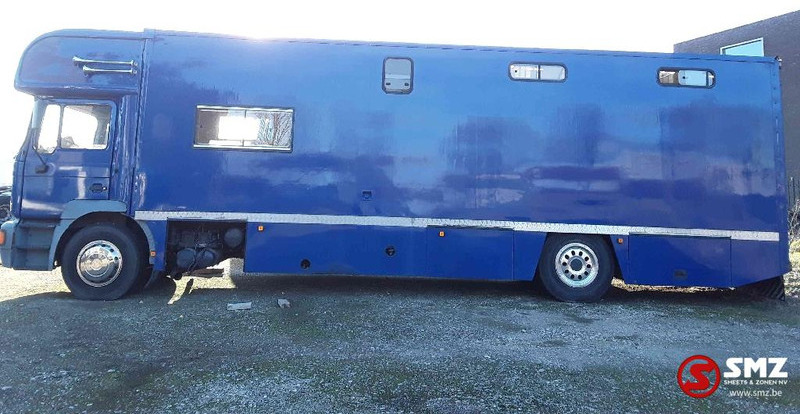 MAN 18.264 - Livestock truck: picture 4 MAN 18.264 - Livestock truck: picture 4