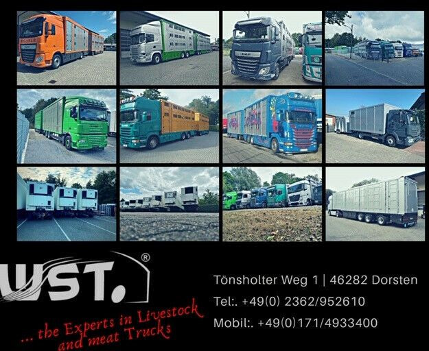 Curtainsider semi-trailer Krone SDP27   Profiliner Edscha  XL Scheibenbremse: picture 8