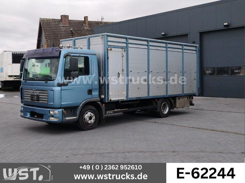 MAN TGL 10.210 1 Stock Viehtransporter - Horse truck: picture 1 MAN TGL 10.210 1 Stock Viehtransporter - Horse truck: picture 1