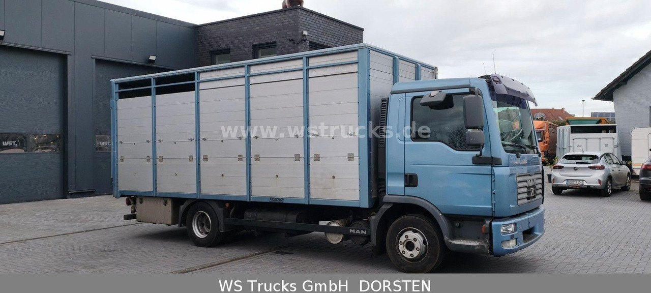 MAN TGL 10.210 1 Stock Viehtransporter - Horse truck: picture 4 MAN TGL 10.210 1 Stock Viehtransporter - Horse truck: picture 4