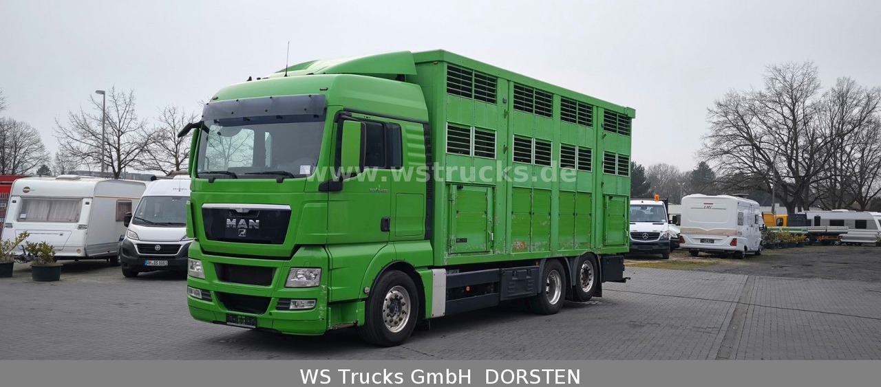 MAN TGX 26.480 XL KABA 3 Stock Viehtransporter - Horse truck: picture 2 MAN TGX 26.480 XL KABA 3 Stock Viehtransporter - Horse truck: picture 2