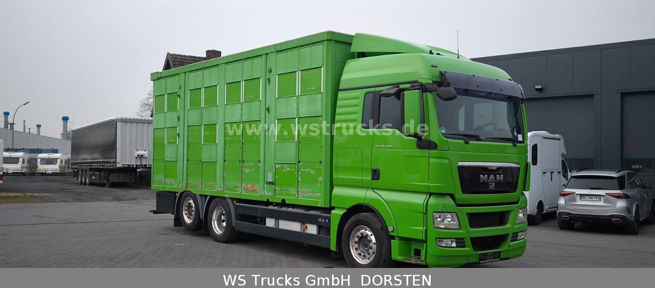MAN TGX 26.480 XL KABA 3 Stock Viehtransporter - Horse truck: picture 3 MAN TGX 26.480 XL KABA 3 Stock Viehtransporter - Horse truck: picture 3