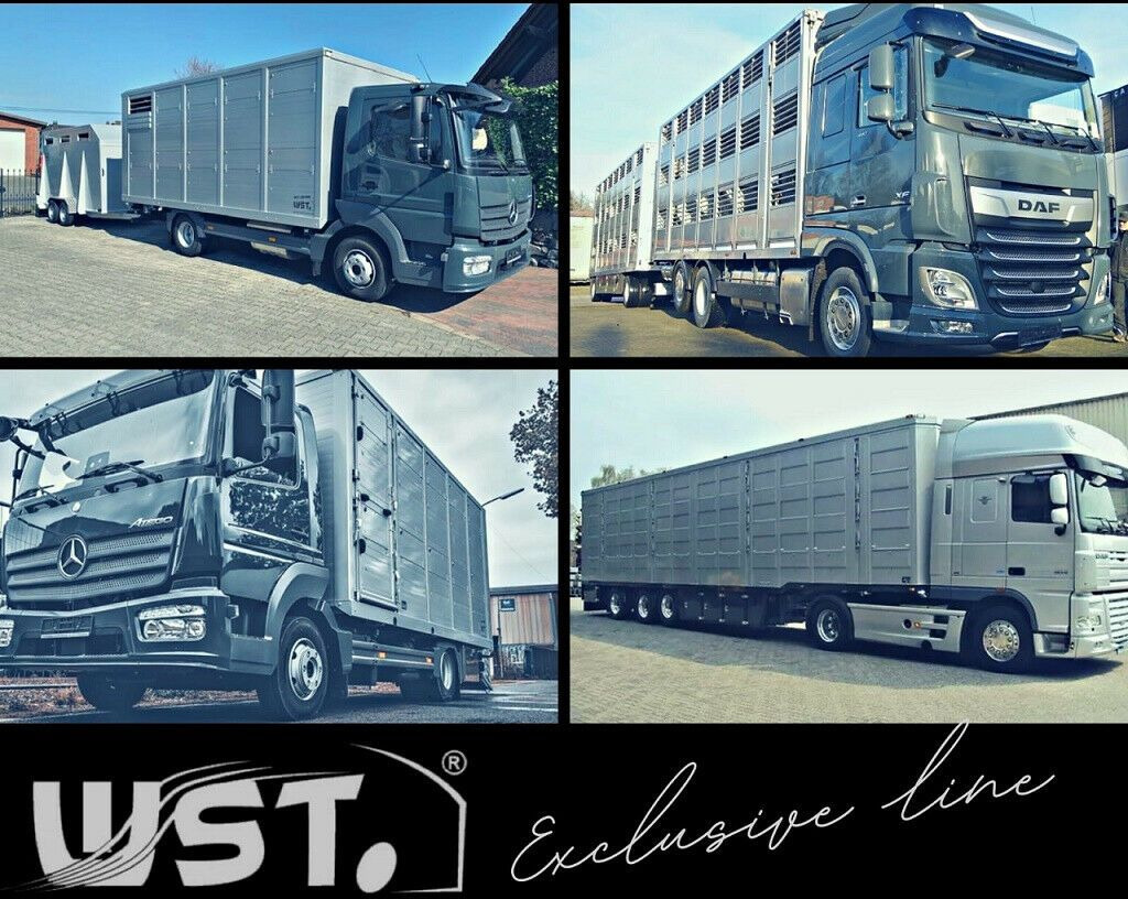 Horse truck Mercedes-Benz 1224 EURO. 3: picture 18 Horse truck Mercedes-Benz 1224 EURO. 3: picture 18