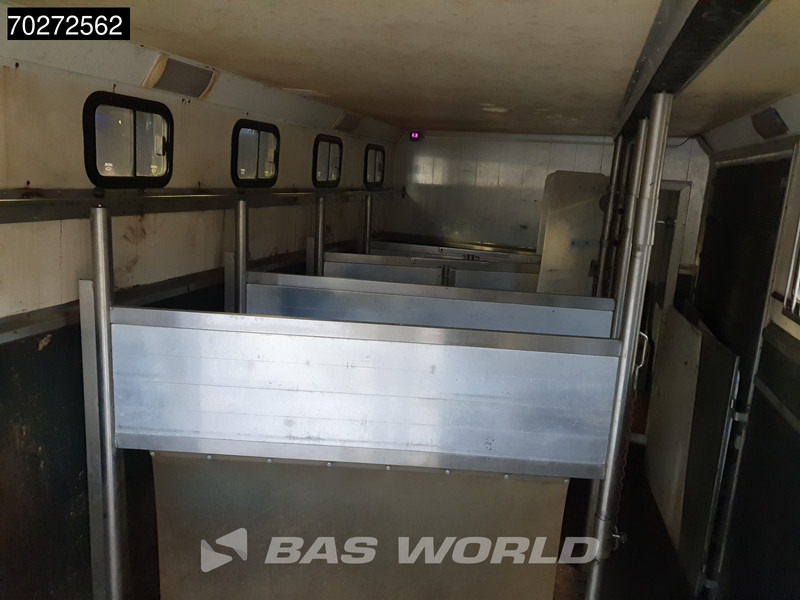 Leasing of Mercedes-Benz Atego 1217 4X2 Horse truck 6 horses Manual Steelsuspension Euro 2 Mercedes-Benz Atego 1217 4X2 Horse truck 6 horses Manual Steelsuspension Euro 2: picture 8