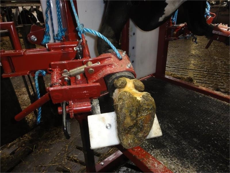 Pomi Std1 Fabriksny - Livestock equipment: picture 3 Pomi Std1 Fabriksny - Livestock equipment: picture 3