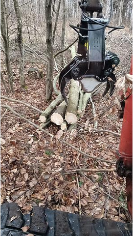 Jak 250 Fällgreifer - Grapple: picture 2 Jak 250 Fällgreifer - Grapple: picture 2