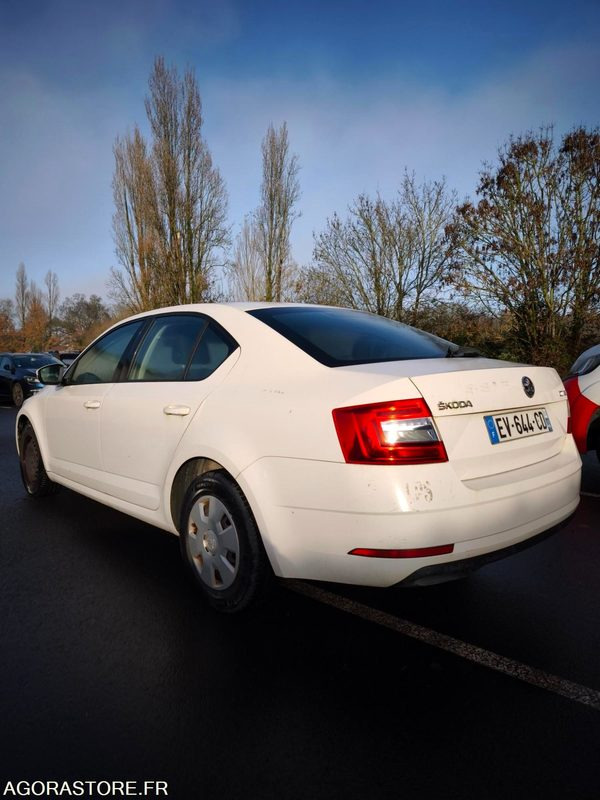 EV-644-CD - Non Roulant - SKODA OCTAVIA - VP - 339 260 Kms - Car: picture 5 EV-644-CD - Non Roulant - SKODA OCTAVIA - VP - 339 260 Kms - Car: picture 5