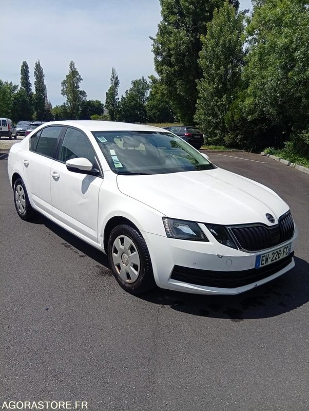 EW-226-FC - Roulant - SKODA OCTAVIA - VP - 329 661 Kms - Car: picture 1 EW-226-FC - Roulant - SKODA OCTAVIA - VP - 329 661 Kms - Car: picture 1