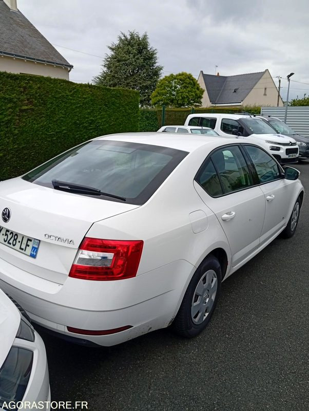 EY-528-LF - Roulant - SKODA OCTAVIA - VP - 421 000 Kms - Car: picture 4 EY-528-LF - Roulant - SKODA OCTAVIA - VP - 421 000 Kms - Car: picture 4