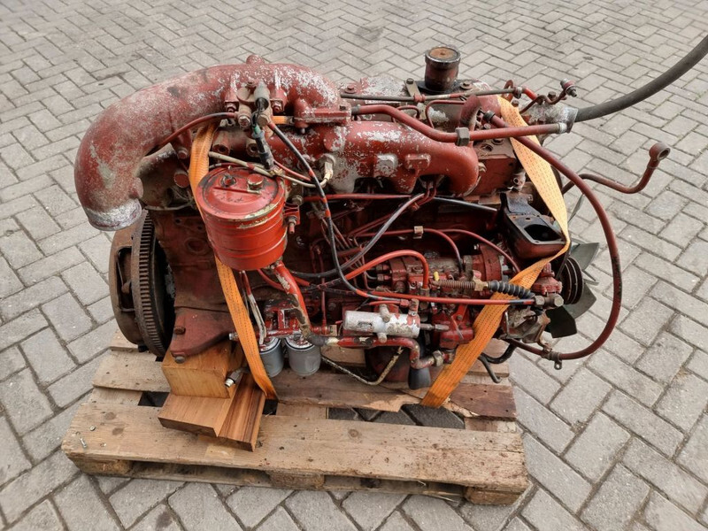 Engine for Agricultural machinery Fiat 8065-6 / FIAT F100 tractor: picture 1