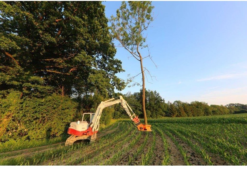 Westtech Woodcracker CL 260 - Felling head: picture 5 Westtech Woodcracker CL 260 - Felling head: picture 5