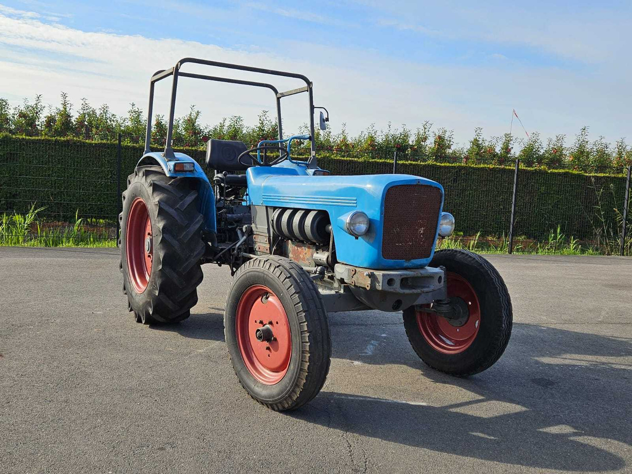 Eicher Konings Tiger 2 - Farm tractor: picture 1 Eicher Konings Tiger 2 - Farm tractor: picture 1