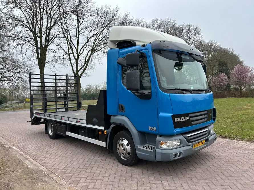 2008 DAF 45.160 TRUCK RAMP - Truck: picture 2 2008 DAF 45.160 TRUCK RAMP - Truck: picture 2