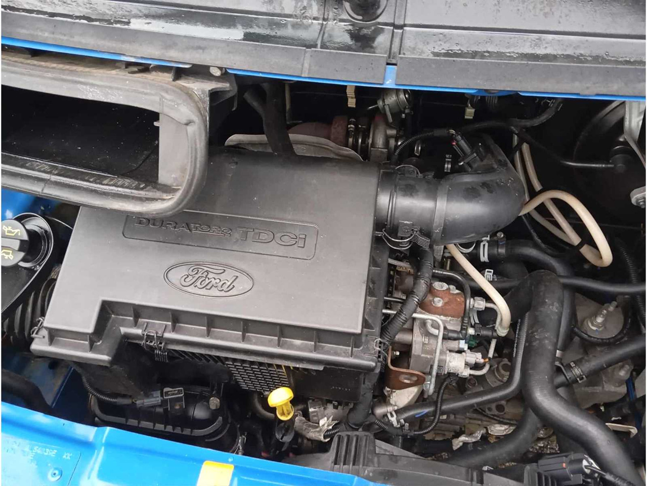 Truck FORD - TRANSIT FN F6 - TRUCKFLATBED TRUCK FORD TRANSIT FN F6 - 2010: picture 6