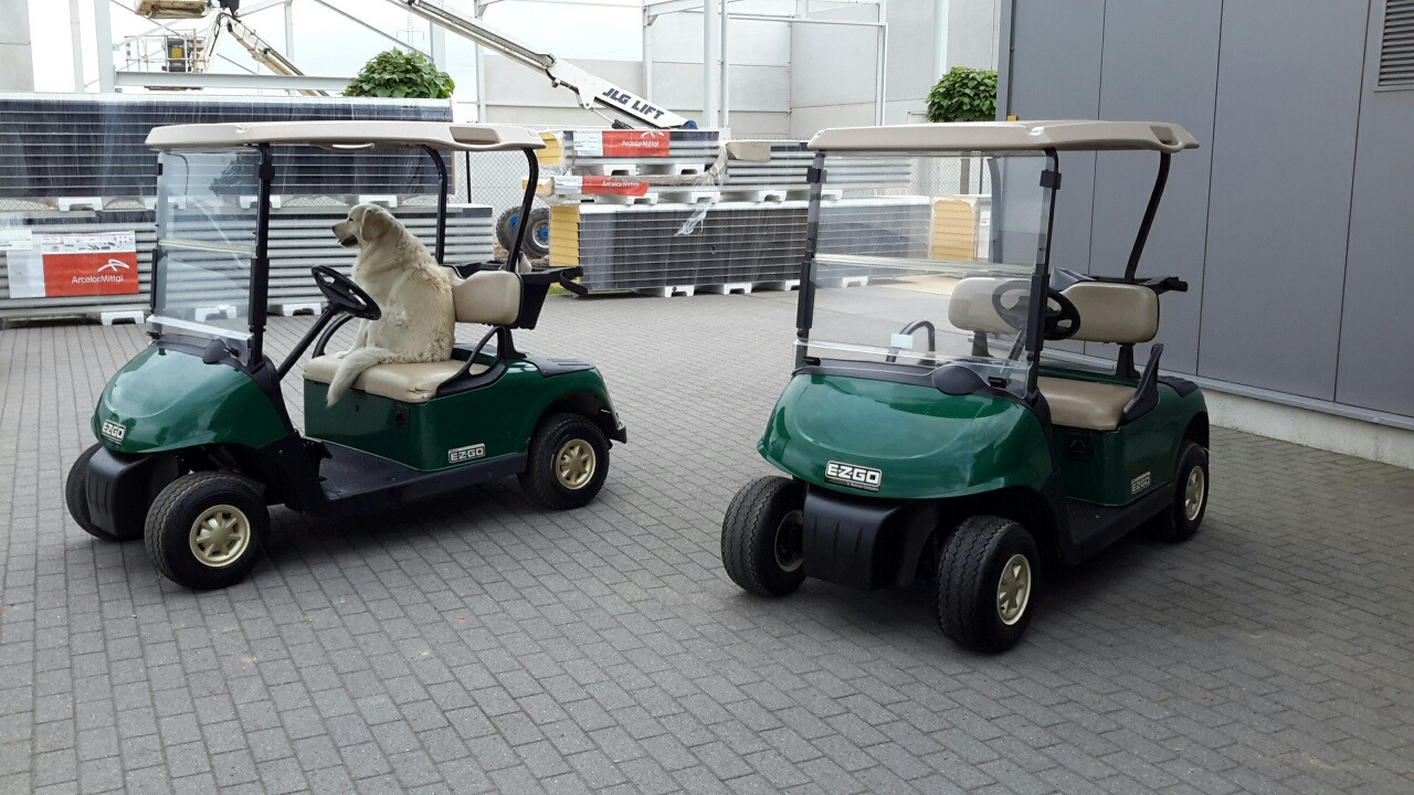 Ezgo rxv petrol - Golf cart: picture 1 Ezgo rxv petrol - Golf cart: picture 1