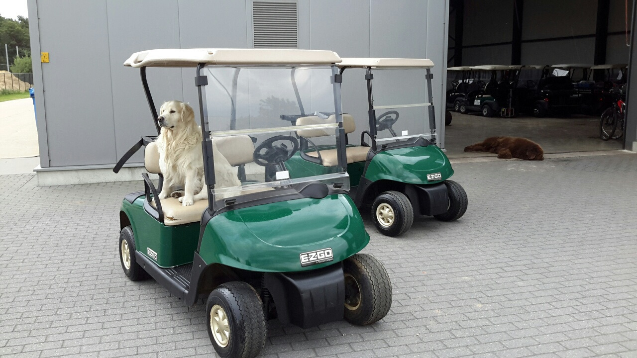 Ezgo rxv petrol - Golf cart: picture 2 Ezgo rxv petrol - Golf cart: picture 2