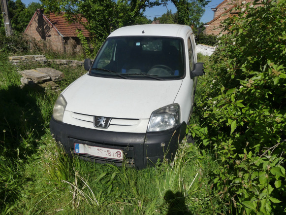 Camionnette utilitaire Peugeot Partner - Panel van: picture 1 Camionnette utilitaire Peugeot Partner - Panel van: picture 1