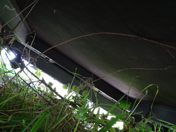 Trailer Remorque 3m20 x 1m45: picture 16